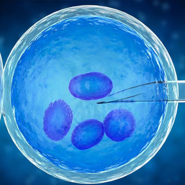 IVF 600x600