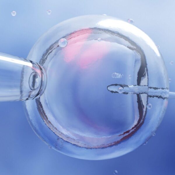 IVF scaled e1733705240419 1 600x600
