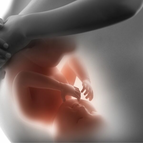Pregnancy 600x600